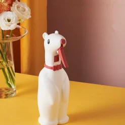 Dtopbuyage Arrosage | - Arrosoir à main carton pour enfants et plantes