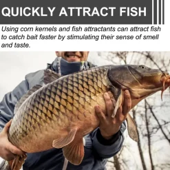 Dtopbuyage Alimentation | - Attractif pour appâts de pêche, 100 g -
