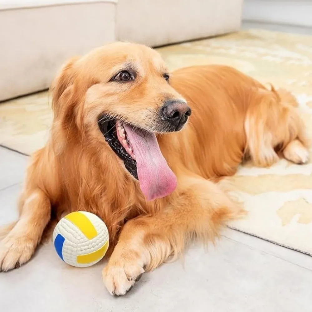 Dtopbuyage - Balles grincantes indestructibles pour chien mâcheur Discount