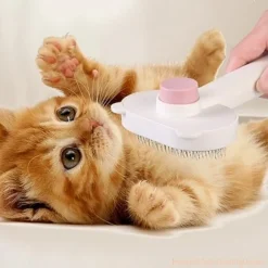 Dtopbuyage - Catcomb peigne brosse pour animaux de compagnie toilettage Hot
