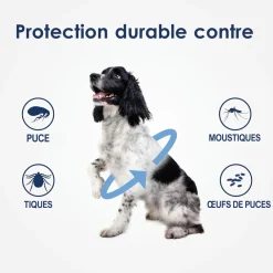 Dtopbuyage - Collier antiparasitaire pour chien Clearance