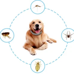 Dtopbuyage Colliers, Laisses Et Vêtements | - Collier antiparasitaire réglable pour chien 62 cm