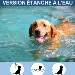 Dtopbuyage Colliers, Laisses Et Vêtements | - Collier anti-puces et tiques pour chien