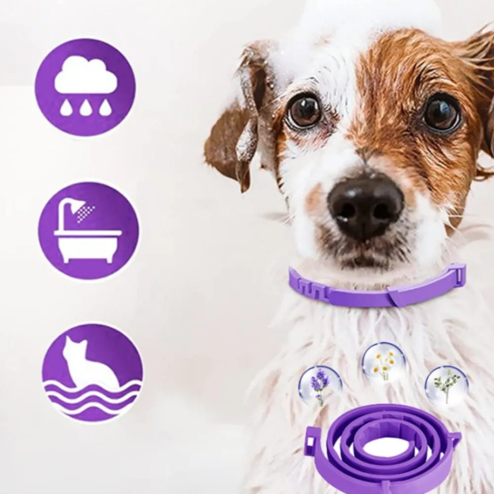 Dtopbuyage - Collier apaisant réglable pour chiens New