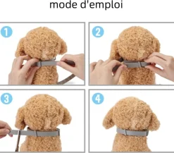 Dtopbuyage Education | - Collier apaisant réglable pour chiens et chats