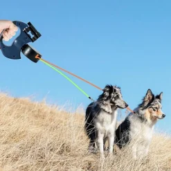 Dtopbuyage - Corde rétractable pour chien avec lampe et support sac Online