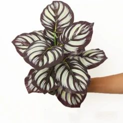 Dtopbuyage - Décoration pour mur de plantes artificielles - feuille d'ananas à 12 têtes - Clearance