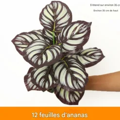 Dtopbuyage - Décoration pour mur de plantes artificielles - feuille d'ananas à 12 têtes - Clearance