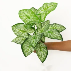 Dtopbuyage - Décoration pour mur de plantes artificielles - feuille à 12 têtes -