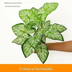 Dtopbuyage - Décoration pour mur de plantes artificielles - feuille à 12 têtes -