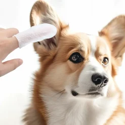Dtopbuyage - 50 doigtiers de soin des oreilles pour animaux Discount