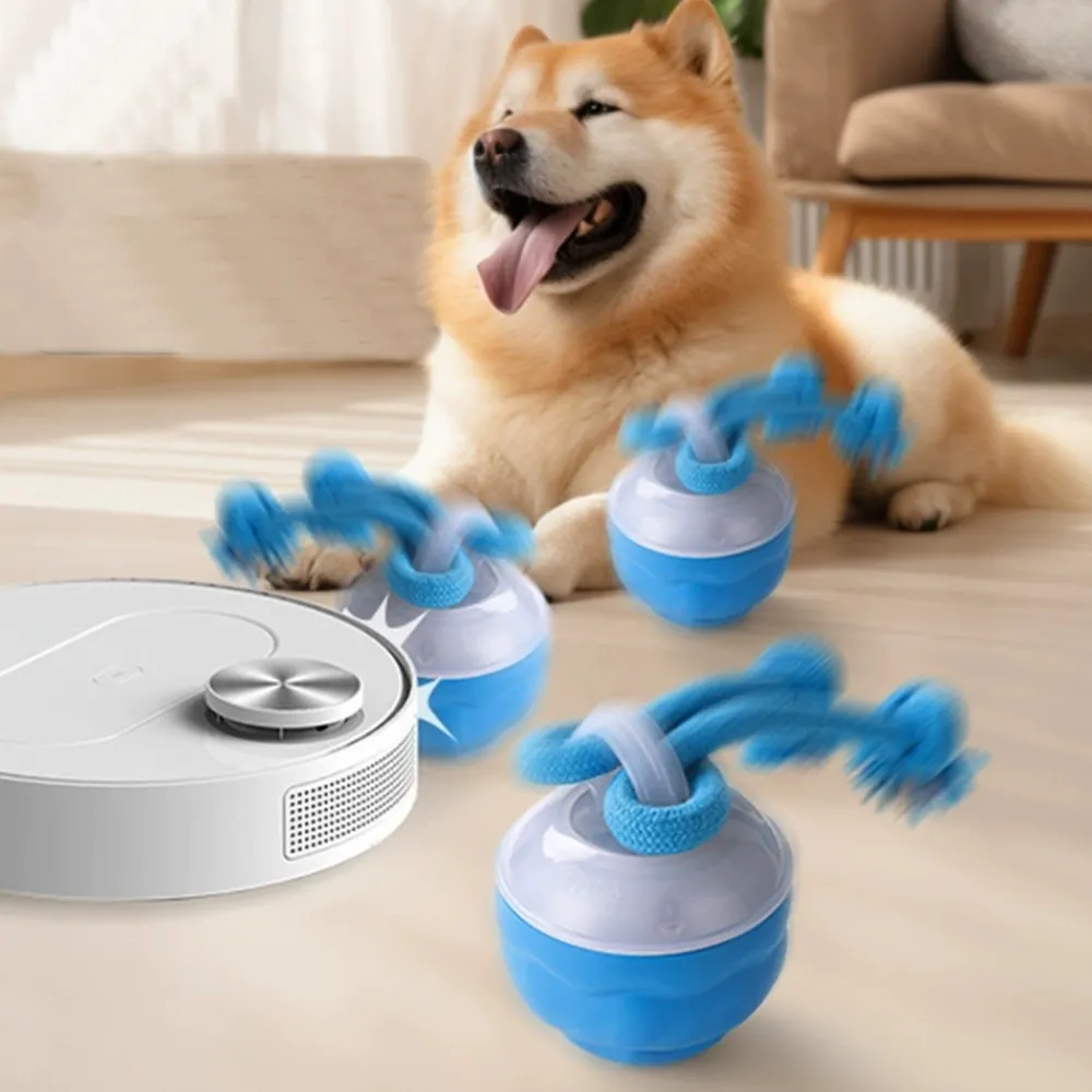 Dtopbuyage - boule interactive pour chien Discount