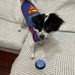 Dtopbuyage - boutons de communication pour chiens Outlet
