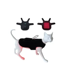 Dtopbuyage Colliers, Laisses Et Vêtements | - ceinturon de physiothérapie à infrarouge pour chats et chiens