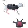 Dtopbuyage Colliers, Laisses Et Vêtements | - ceinturon de physiothérapie à infrarouge pour chats et chiens