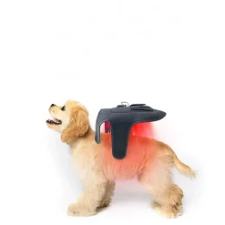 Dtopbuyage Colliers, Laisses Et Vêtements | - ceinturon de physiothérapie à infrarouge pour chats et chiens