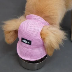 Dtopbuyage Colliers, Laisses Et Vêtements | - chapeau de soleil pour chiens