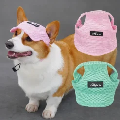 Dtopbuyage Colliers, Laisses Et Vêtements | - chapeau de soleil pour chiens