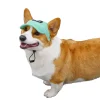 Dtopbuyage Colliers, Laisses Et Vêtements | - chapeau de soleil pour chiens