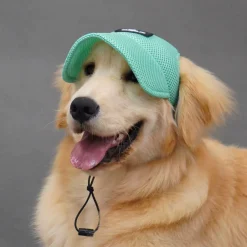 Dtopbuyage Colliers, Laisses Et Vêtements | - chapeau de soleil pour chiens