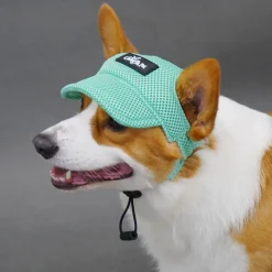 Dtopbuyage Colliers, Laisses Et Vêtements | - chapeau de soleil pour chiens