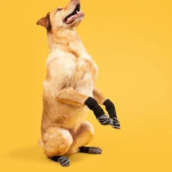 Dtopbuyage Colliers, Laisses Et Vêtements | - chaussettes anti - dérapantes pour chiens et chats