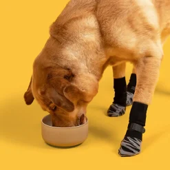 Dtopbuyage Colliers, Laisses Et Vêtements | - chaussettes anti - dérapantes pour chiens et chats