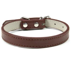 Dtopbuyage - collier en cuir pour chats et chiens