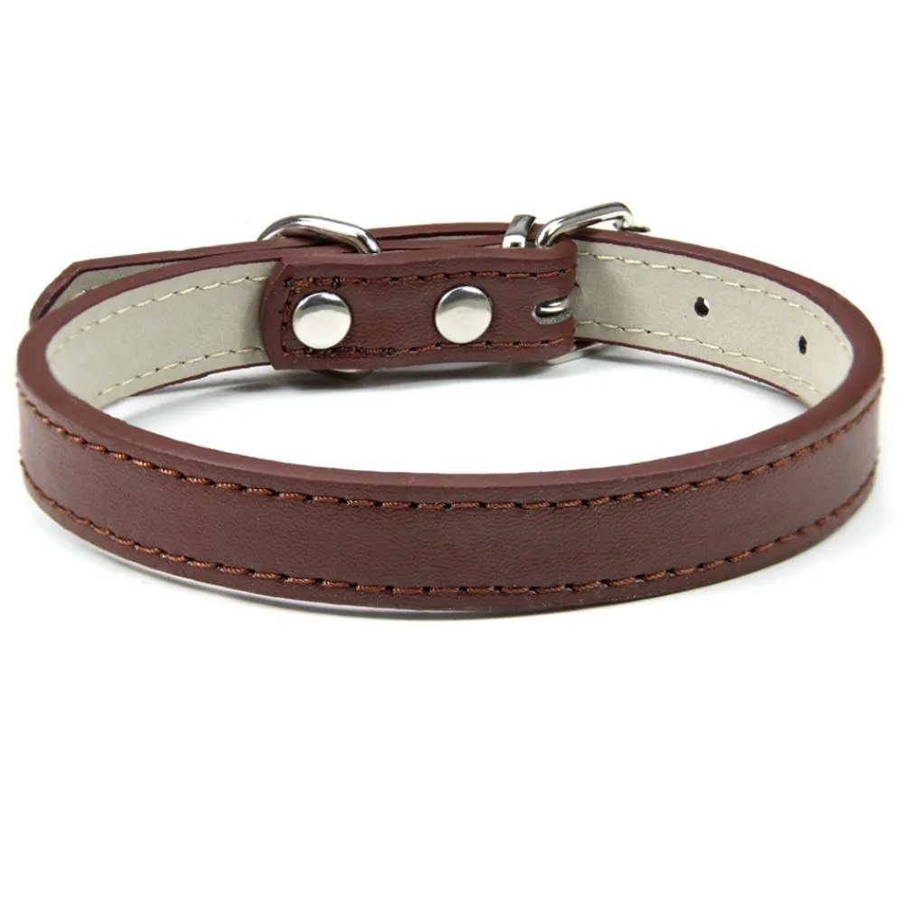 Dtopbuyage - collier en cuir pour chats et chiens