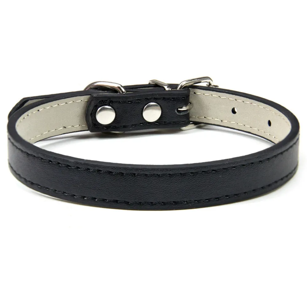 Dtopbuyage - collier en cuir pour chats et chiens