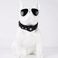 Dtopbuyage - collier de chien compatible avec airtag Best