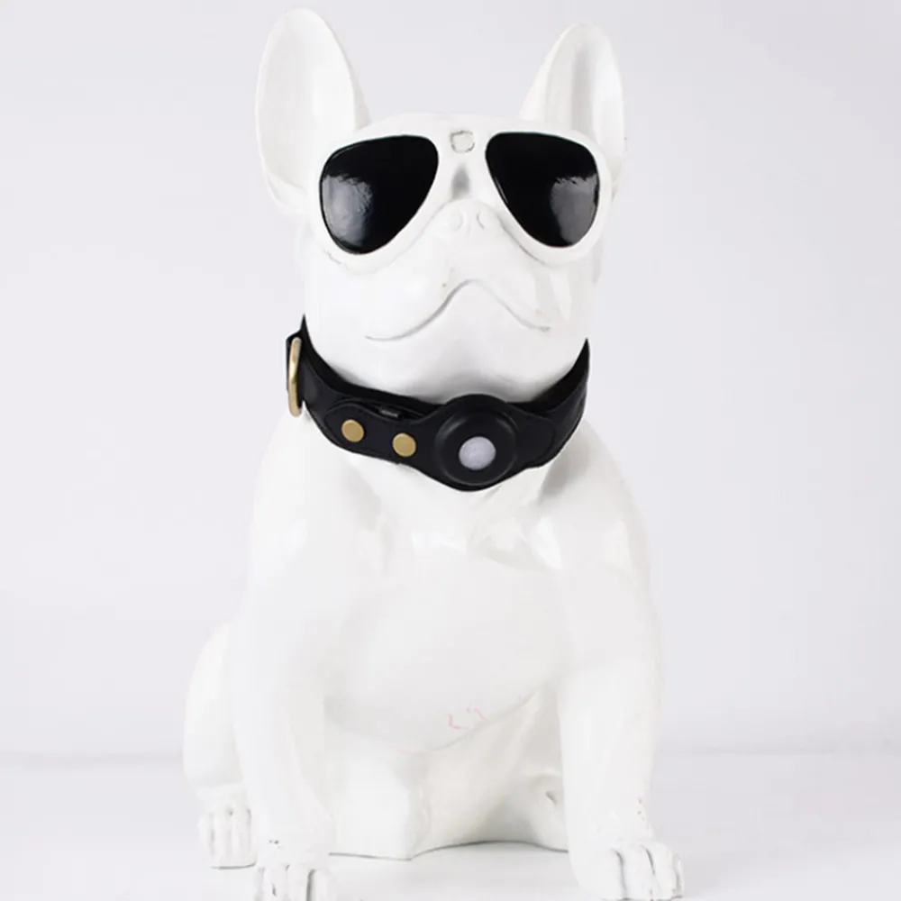 Dtopbuyage - collier de chien compatible avec airtag Best