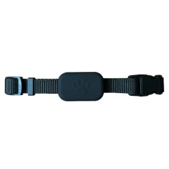 Dtopbuyage Colliers, Laisses Et Vêtements | - collier de suivi pour animaux de compagnie