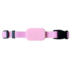 Dtopbuyage - collier de suivi pour animaux de compagnie Outlet