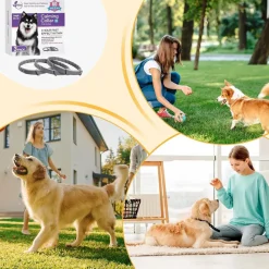 Dtopbuyage Colliers, Laisses Et Vêtements | - colliers apaisants pour chiens