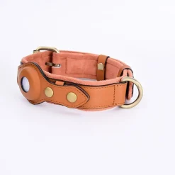 Dtopbuyage Colliers, Laisses Et Vêtements | - collier de chien compatible avec airtag