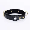 Dtopbuyage - collier de chien compatible avec airtag Discount