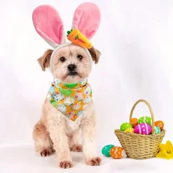 Dtopbuyage - costume et accessoire festif pour chien et chat Discount