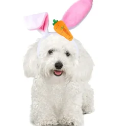 Dtopbuyage - costume et accessoire festif pour chien et chat Discount