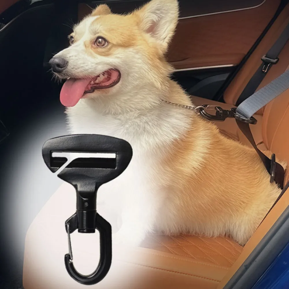 Dtopbuyage Education | - crochet de sécurité pour chiens en voiture