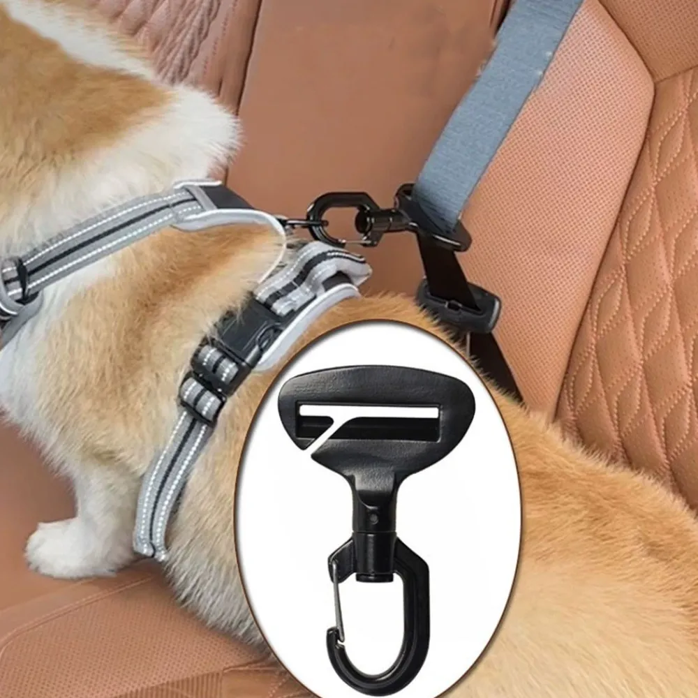 Dtopbuyage Education | - crochet de sécurité pour chiens en voiture