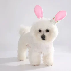 Dtopbuyage - ensemble d'easter pour chiens et lapins New