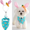 Dtopbuyage - ensemble d'easter pour chiens et lapins