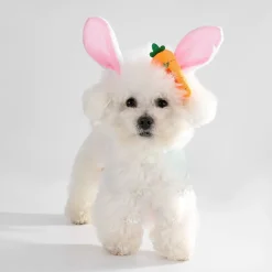 Dtopbuyage - ensemble d'easter pour chiens et lapins