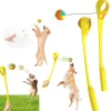 Dtopbuyage Jouets | - jouet interactif pour chien