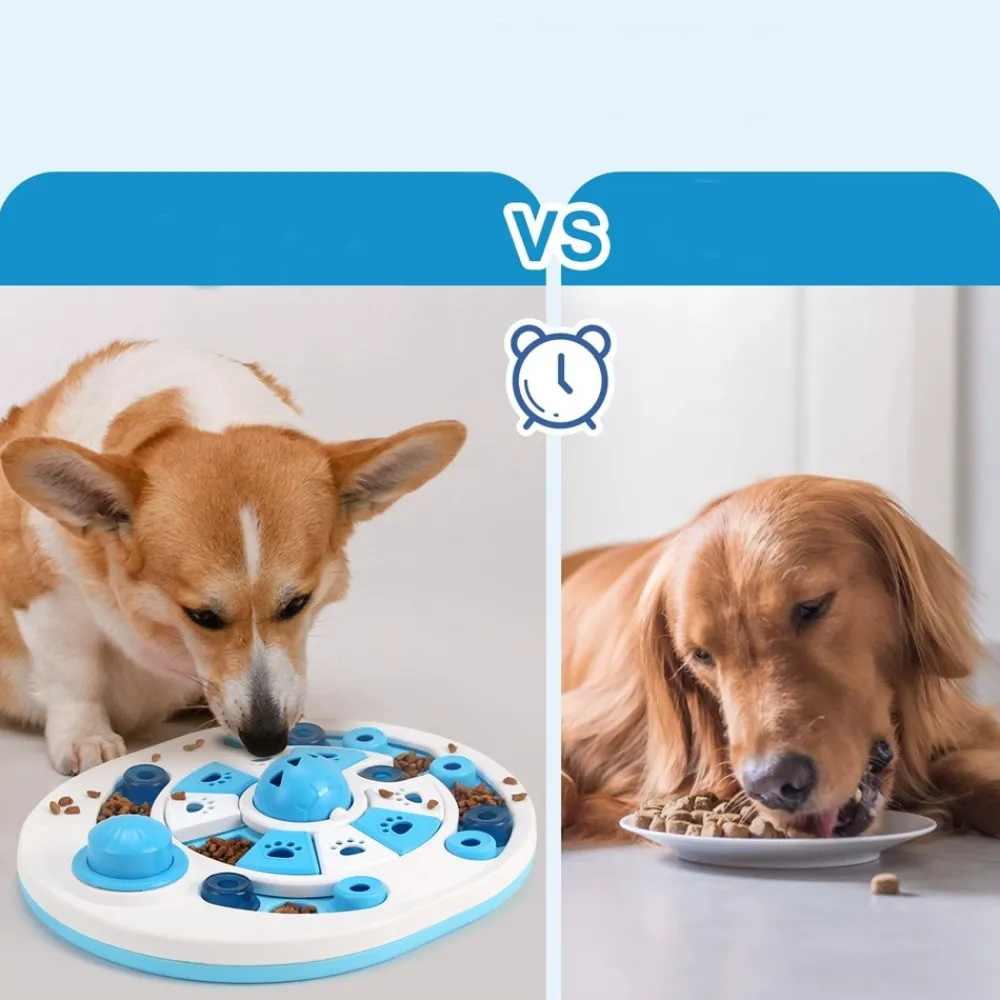 Dtopbuyage Gamelles Et Autres Accessoires | - jouet éducatif pour chat et chien gamelle slow food