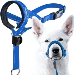 Dtopbuyage - licol anti-traction pour chien de taille moyenne Discount