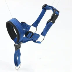 Dtopbuyage - licol anti-traction pour chien de taille moyenne Discount