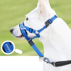 Dtopbuyage - licol anti-traction pour chien de taille moyenne New