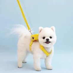 Dtopbuyage - sac à dos et laisse pour chien Sale